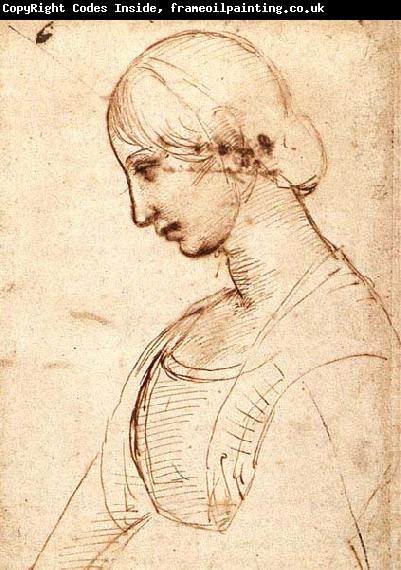 RAFFAELLO Sanzio Waist-length Figure of a Young Woman
